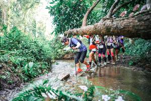 BIB: 
                            <button type="button" onclick="openModal(25516899)" class="btn btn-primary btn-sm float-right btn-popup" data-toggle="modal" data-target=".modal-high-quality">
                        <i class="fas fa-shopping-cart"></i> Add to Cart
                    </button>
                                            <button type="button" onclick="isThisMe(25516899, true)" class="btn btn-success btn-sm float-right btn-popup btn-isme hidden" data-toggle="tooltip" data-placement="bottom" title="นี่คือรูปของคุณใช่ไหม คลิกที่นี่เพื่อเอาเข้าอัลบั้ม">
                        <i class="fas fa-plus"></i> Add to album
                    </button>
                    <button type="button" onclick="isThisMe(25516899, false)" class="btn btn-warning btn-sm float-right btn-popup btn-isnotme hidden">
                        <i class="fas fa-ban"></i> Remove from album
                    </button>